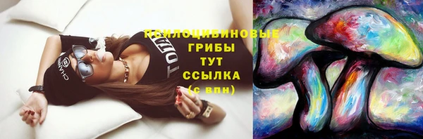 крисы Беломорск
