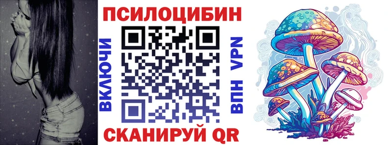 Псилоцибиновые грибы мицелий  ОМГ ОМГ ТОР  Катав-Ивановск  цена  